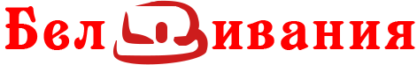 Логотип партнера